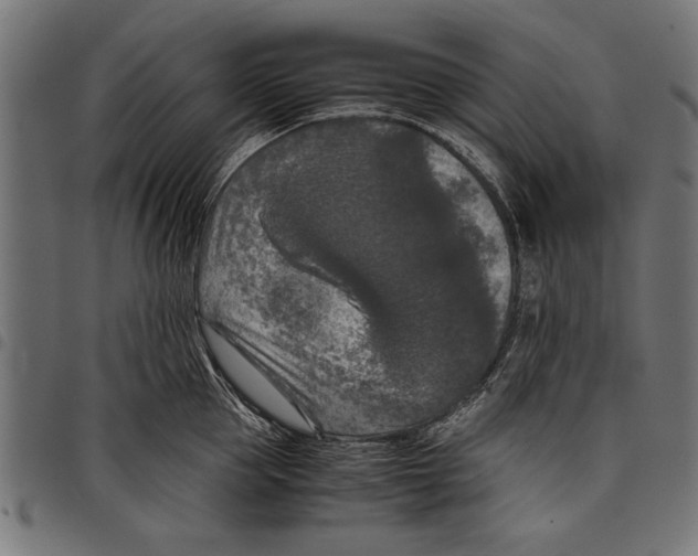 X0000097660953200803280948