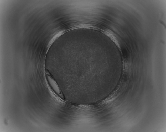 X0000097660954200803280948