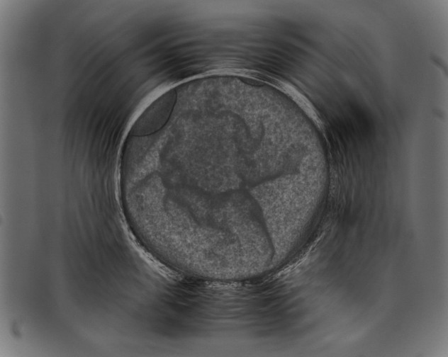 X0000097660955200803280948