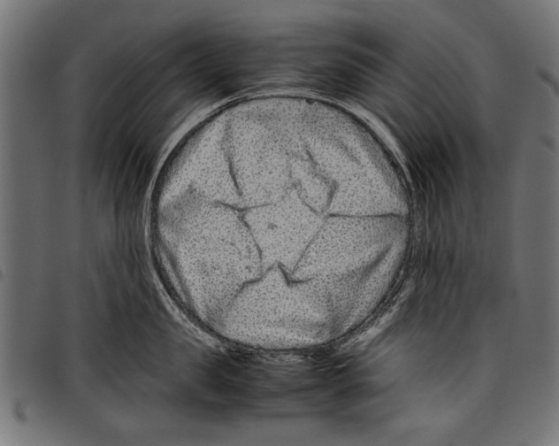 X0000097660957200803280948