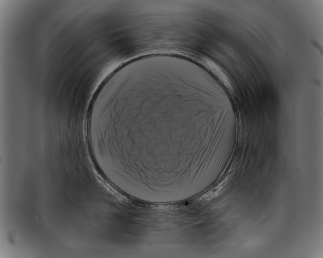 X0000097660958200803280948