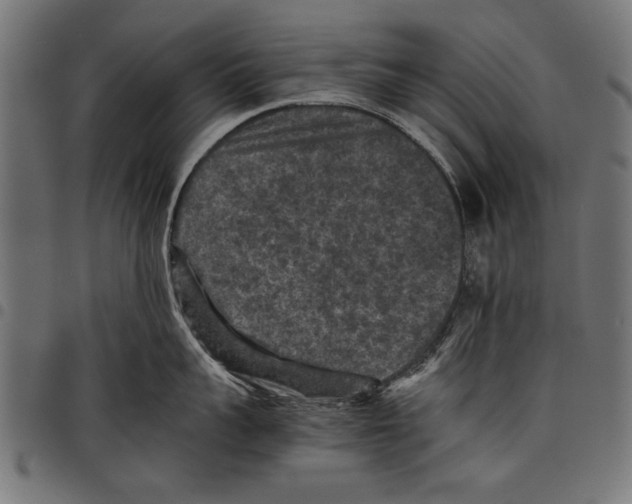 X0000097660959200803280948