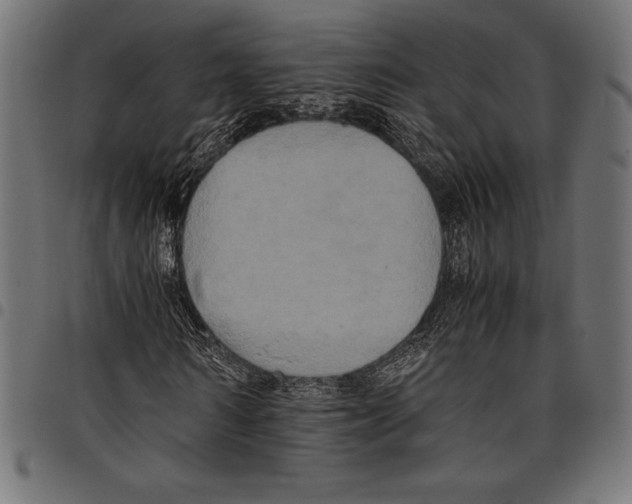 X0000097660962200803280947