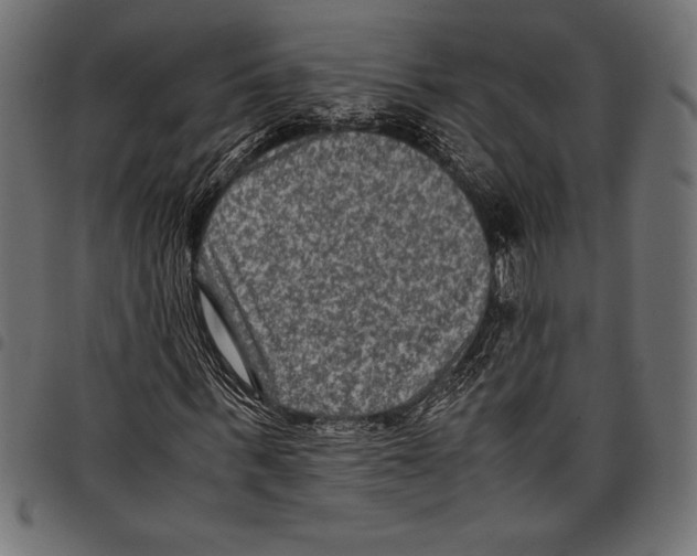 X0000097660963200803280947