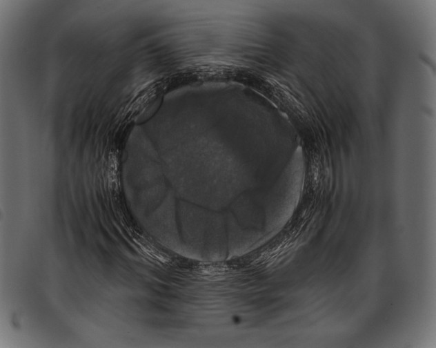 X0000097660964200803280947