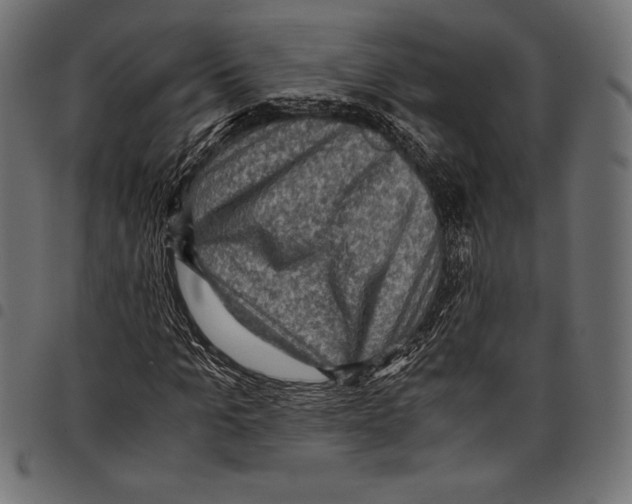X0000097660965200803280947