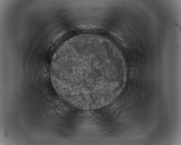 X0000097660966200803280947