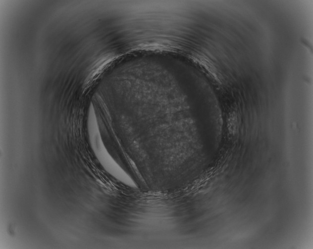 X0000097660968200803280947