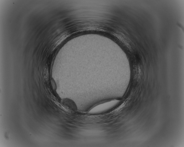 X0000097660969200803280947