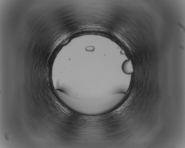 X0000097660970200803280947