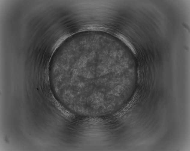 X0000097660972200803280947