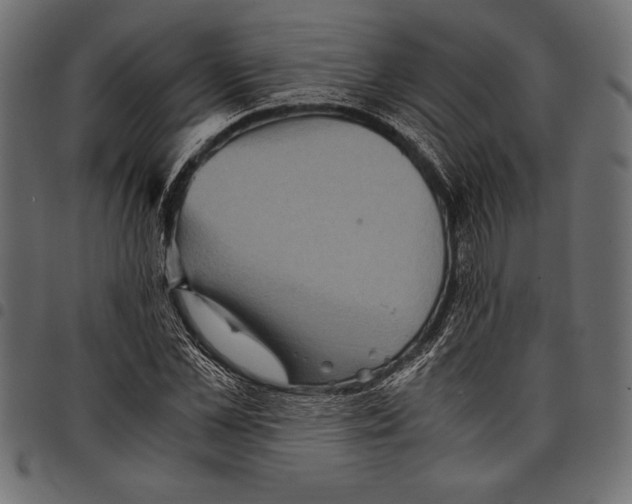 X0000097660973200803280947