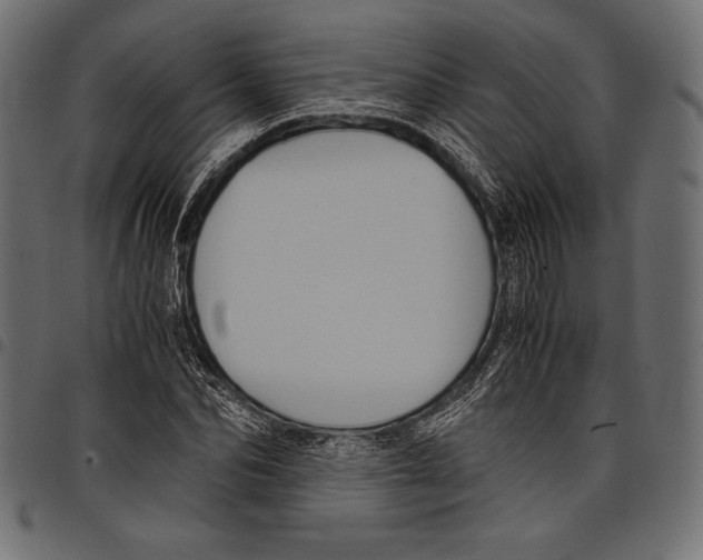 X0000097660974200803280947