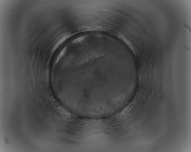 X0000097660975200803280947