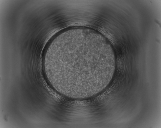 X0000097660976200803280947