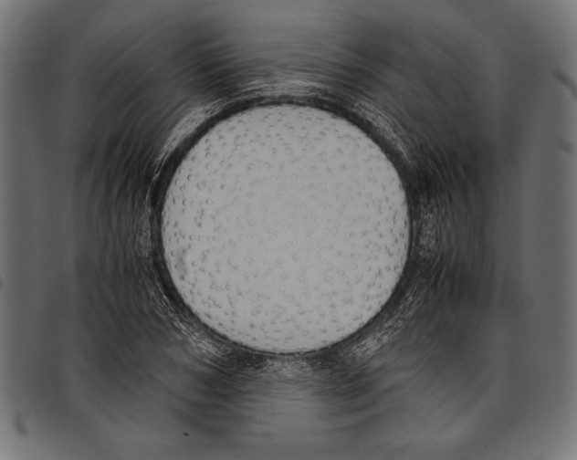 X0000097660978200803280947