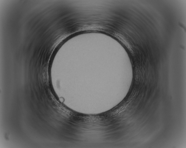X0000097660980200803280947