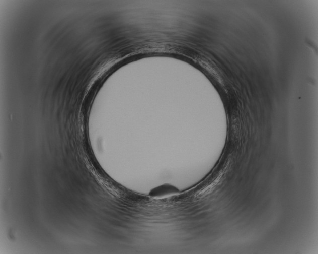 X0000097660981200803280947