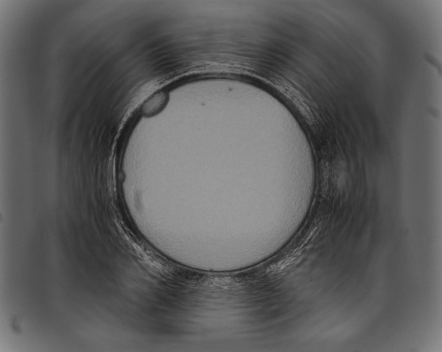 X0000097660982200803280947