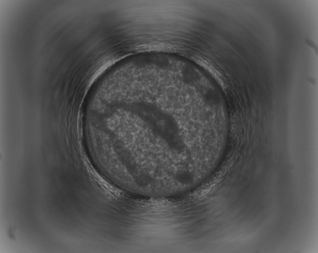 X0000097660983200803280947