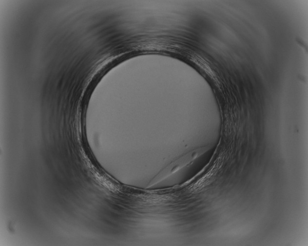 X0000097660984200803280947