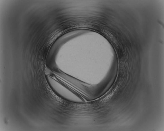 X0000097660985200803280947