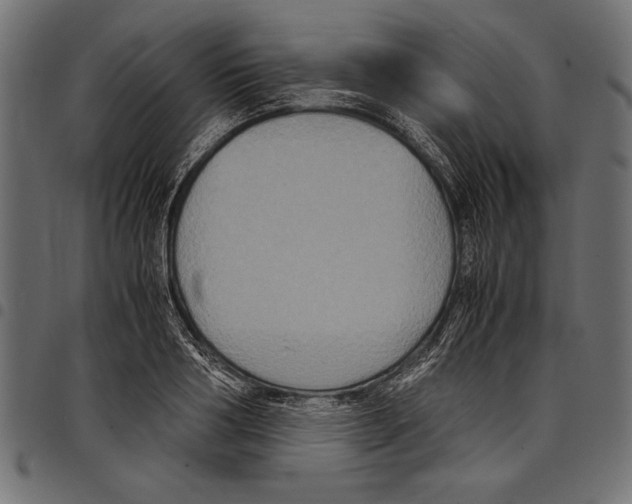 X0000097660986200803280947