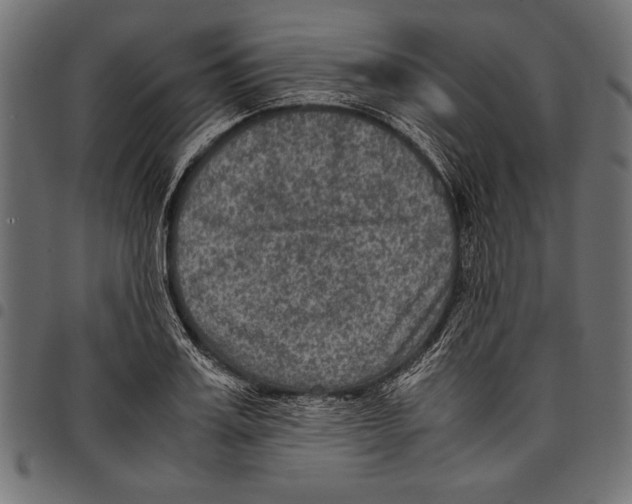 X0000097660987200803280947
