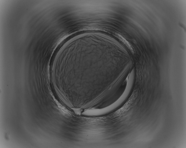 X0000097660988200803280947