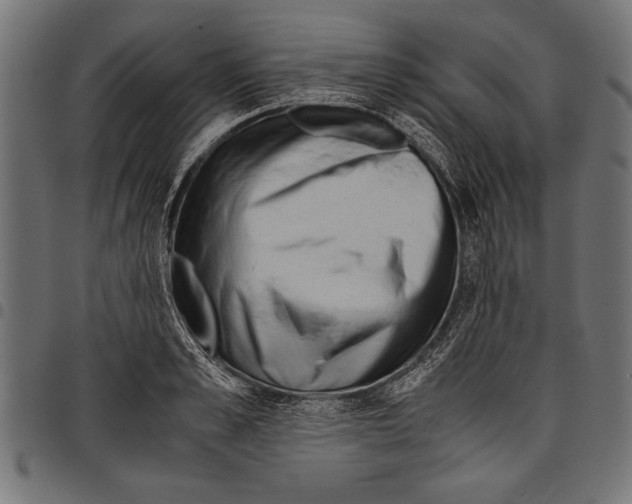 X0000097660989200803280947