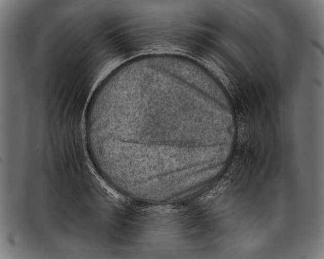 X0000097660990200803280947