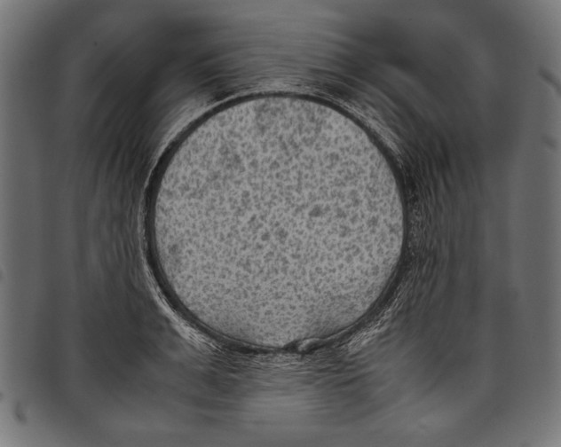 X0000097660991200803280947