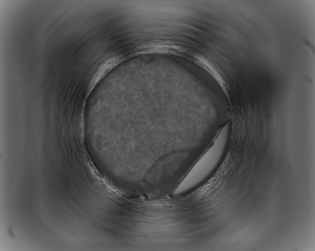 X0000097660994200803280947