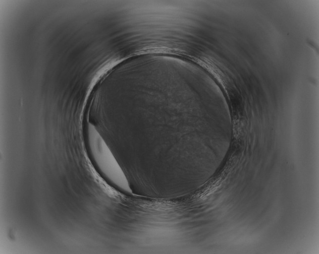 X0000097660995200803280947