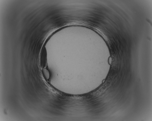 X0000097660996200803280947