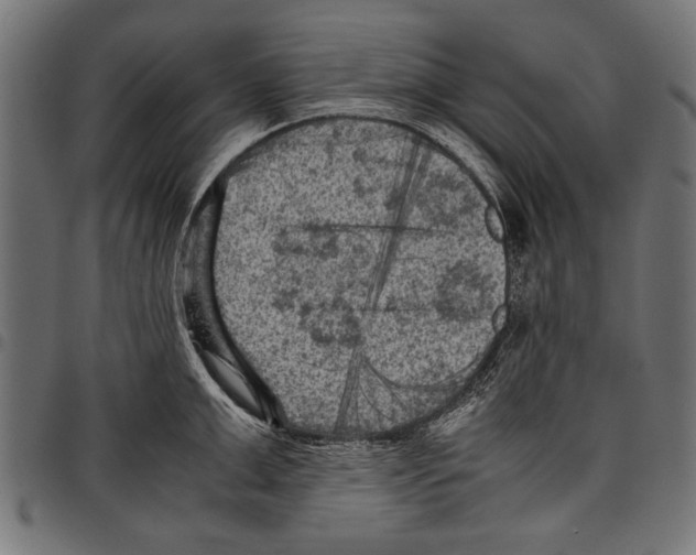X0000097660999200803280947