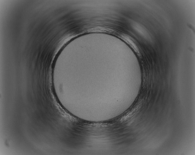 X0000097661000200803280947