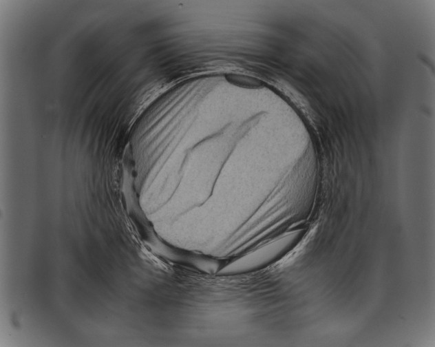 X0000097661001200803280947
