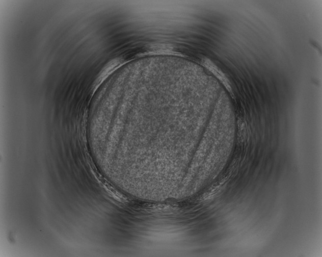 X0000097661002200803280947