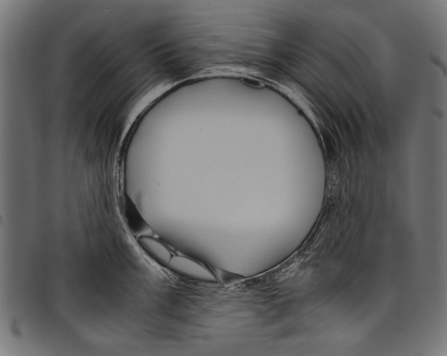 X0000097661003200803280947