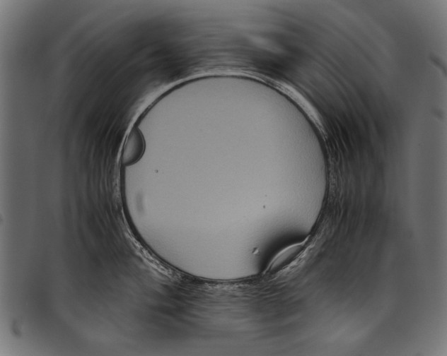 X0000097661004200803280947