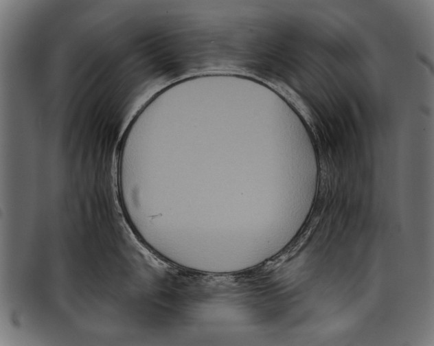 X0000097661006200803280947