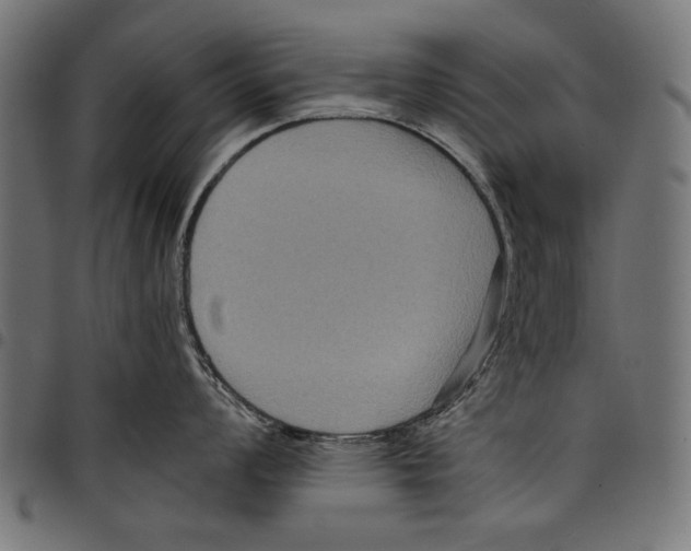 X0000097661008200803280947