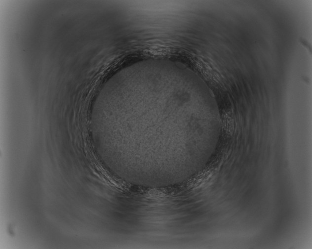 X0000097661009200803280946