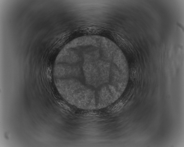 X0000097661010200803280946
