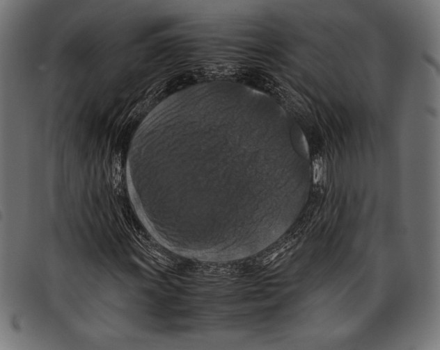 X0000097661011200803280946