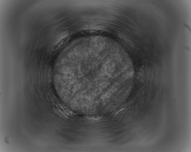 X0000097661014200803280946