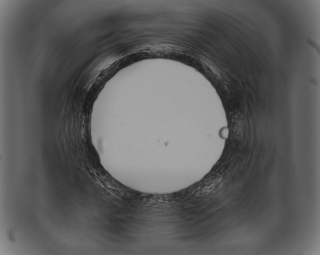 X0000097661016200803280946