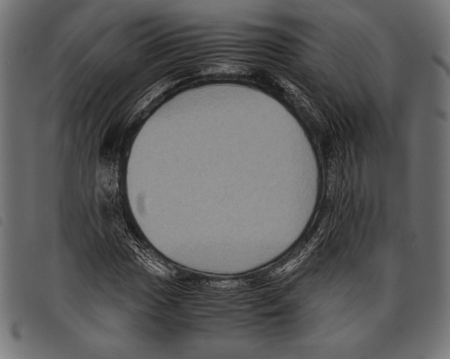 X0000097661017200803280946
