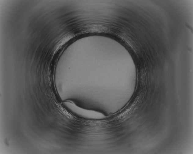 X0000097661018200803280946
